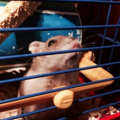 Futuristico Elrctronicko (vox)