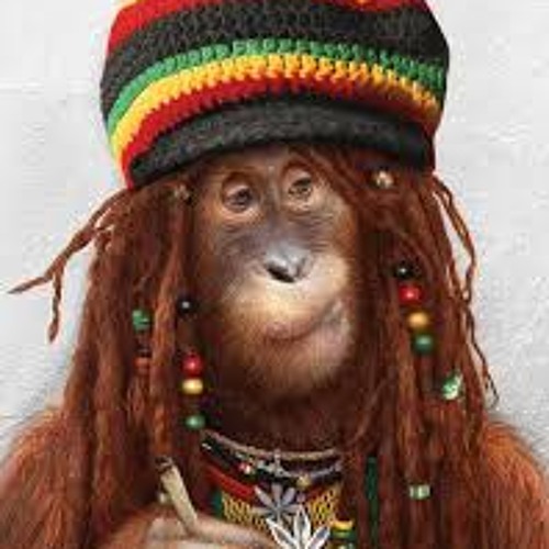 Lu4o - Drunk Monkey [ Original Mix ]