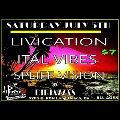 Soldiers by Steel Pulse (cover) - Ital Vibes at DiPiazzas
