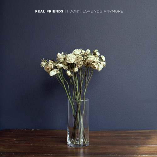 Real Friends - I Don't Love You Anymore