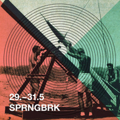 Fischmehl - Live @ sprngbrk Festival 30.05.2013