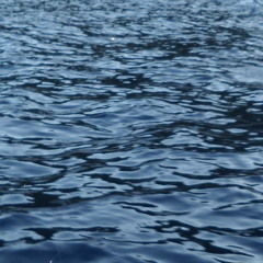 Hyatt Boys ft. Sprocket Rodgers , Hunnid Dolla Bil , J2Cray - Busy Boys