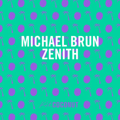 Michael Brun - Zenith