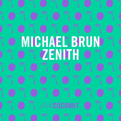 Michael Brun - Zenith