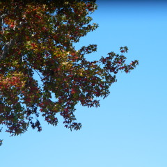 All I Know Ft. Breezy2Groovy x Valencia Myrick(Prod By Canary Julz)