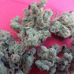 KALKI - Ask Buddha ( Ft. Autonymous,  Erks Orion )    Prod. White Lotus