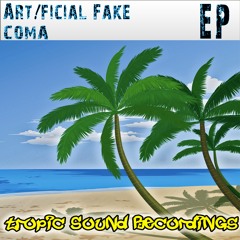 TS012 : Art!ficial Fake - Coma (Original Mix)