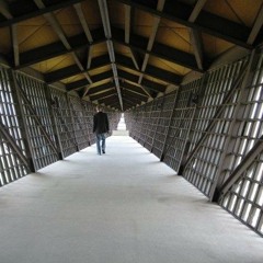 Neil Carlill - When It's Dark (King Toad)