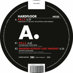 HF020 - Hardfloor - "P.E.L.F." Remixes - (snippets)