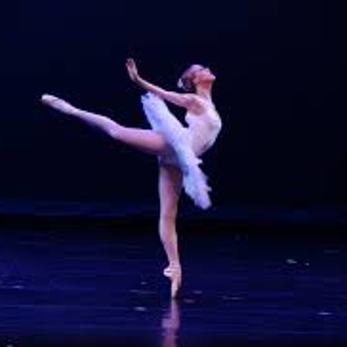 Blue Bird - Sleeping Beauty Ballet
