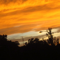 Mega Doneofits - in progress