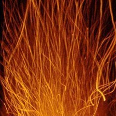 Y - It Feels Like Home