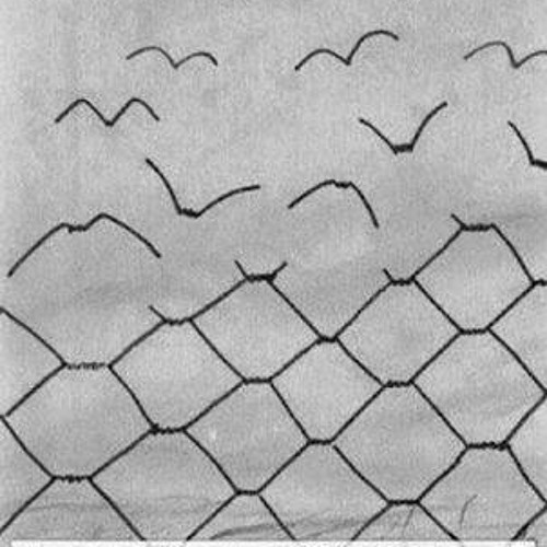 Freedom - Inevitable Consequence ft. DataBase