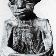 The Nimerigar