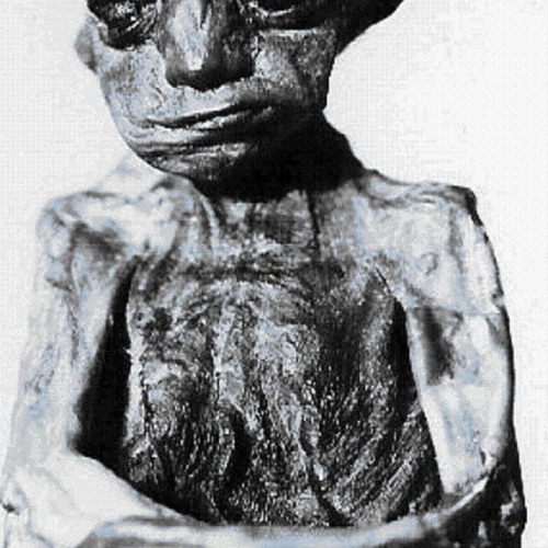 The Nimerigar