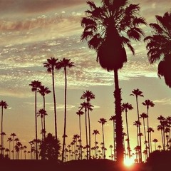 Techno paranoia paradisiac