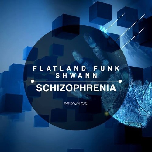 Flatland Funk & Shwann - Schizophrenia (Original Mix)