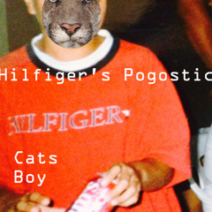 Kitty Man 5000- Tom Brady Is My Pizza Delivery Man