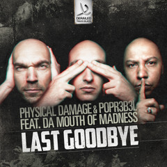 Physical Damage & Popr3b3l feat. Da Mouth Of Madness ‎– Last Goodbye