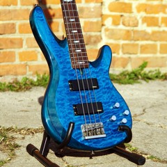 Bass training