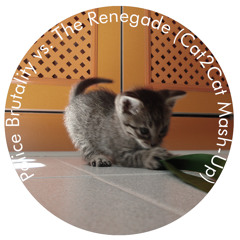 The Renegade vs. Police Brutality (Cat2Cat MashUp)