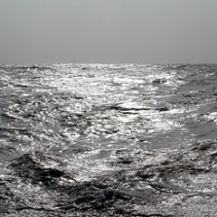 She'll Never Wear Shades