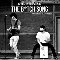 The B*tch Song