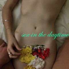 sex in the daytime