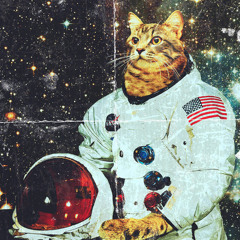 Space Odyssey
