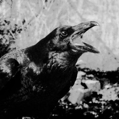 In Mourning  : In the Failing Hour