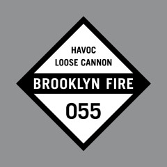 Havoc - Loose Cannon (BF055)