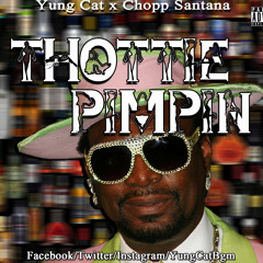 Yung Cat BGM
