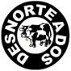 Desnorteados ao Vivo