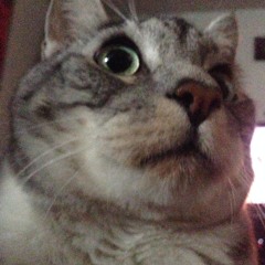 Zan - Zantastic (LUMIN8 July 2014)