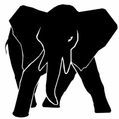 02 - The Nics - Elephant Mix 1