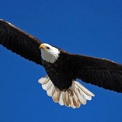 James Floyd Richardson Jr.'s tracks - 01 Track 01nights like these 3 4 (1) (made with Spreaker)