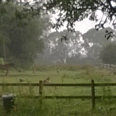 rough demo of 'Day Dreamer'