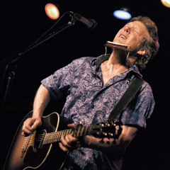 Steve Forbert | No Use Running From The Blues