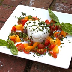 The Appetizer (Intro) - Chef