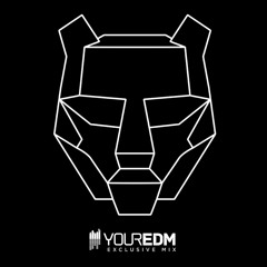 Your EDM Mix with Black Tiger Sex Machine - Volume 16