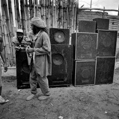 Heavyweight Roots Selection 3