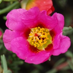 Thnx God, it's friday 2014 july 2