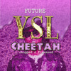 Future Ysl Cheetah Chopped And Finessed Mp3