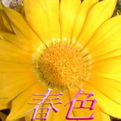 【オリジナル曲】 春色（しゅんしょく）