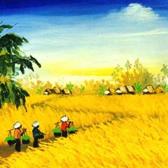 Khúc Hòa tấu giảm Stress 1 - Đồng lúa