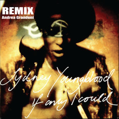 Sydney Youngblood - If Only I Could (REMIX Andrea Grandoni)