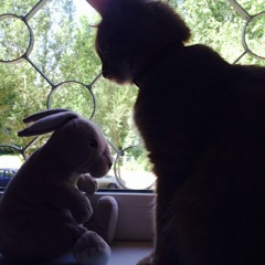 Lorde - 400 lux cover