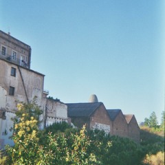 Krists Lacis - Birds & Bees