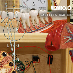 Summer Long (feat. Laetitia Sadier)