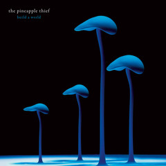 The Pineapple Thief - Build A World (from Build A World)